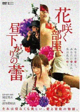 电影片单分区示意